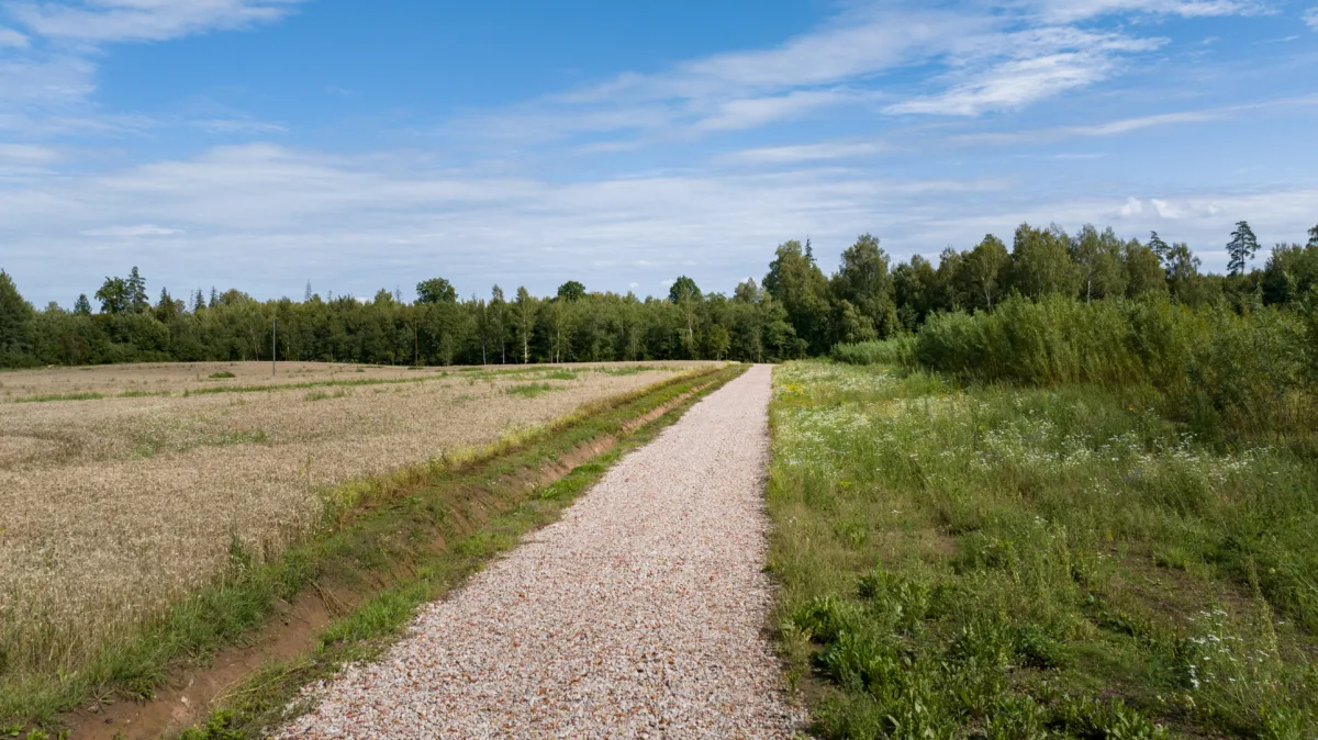 Construction of minor roads