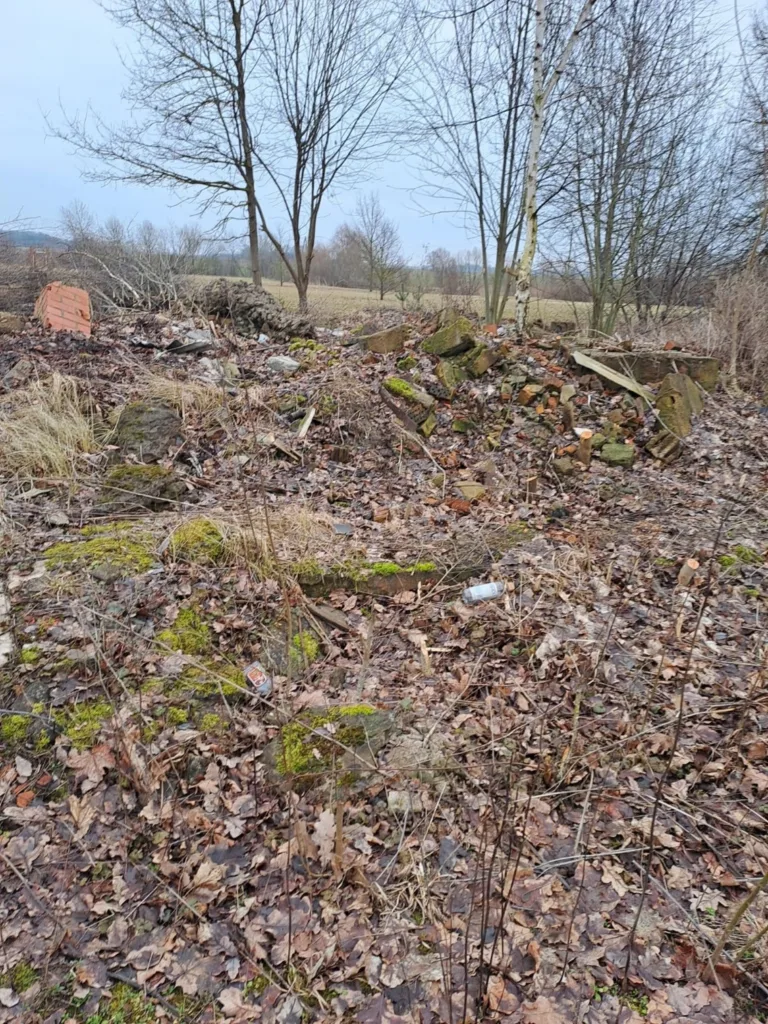 Demolition of building foundations and site organization