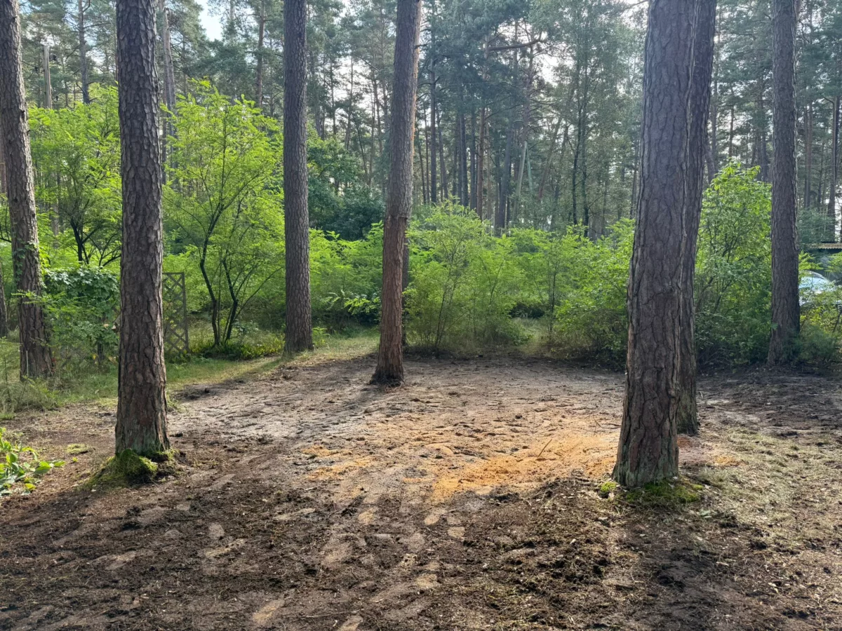 Kempinga ēkas nojaukšana un teritorijas sakopšana