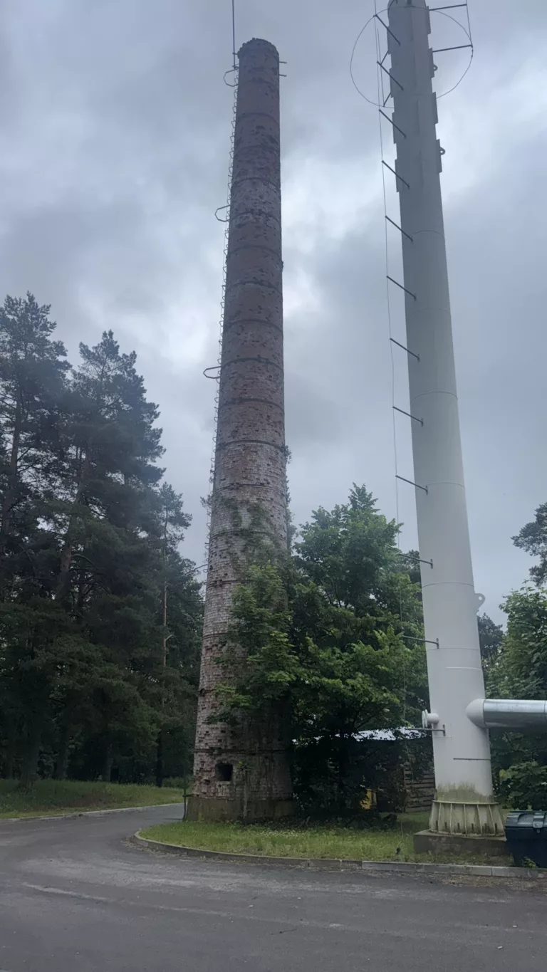 Dūmeņa demontāžas darbi