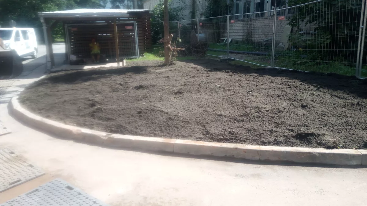 Dūmeņa demontāžas darbi